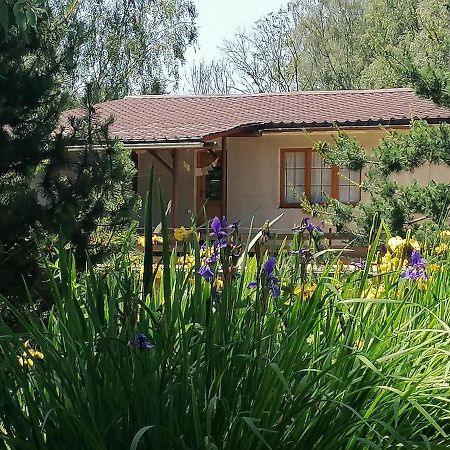 Bydlinska Zahradka Tesikov Villa ชเติร์นแบร์ก ภายนอก รูปภาพ